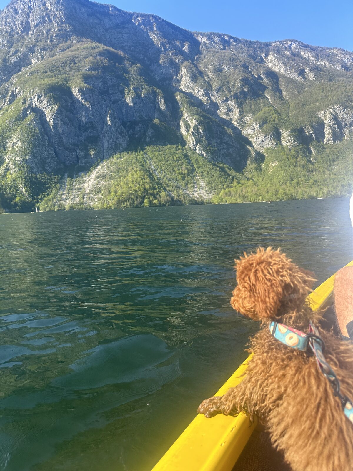 By a mountain lake
