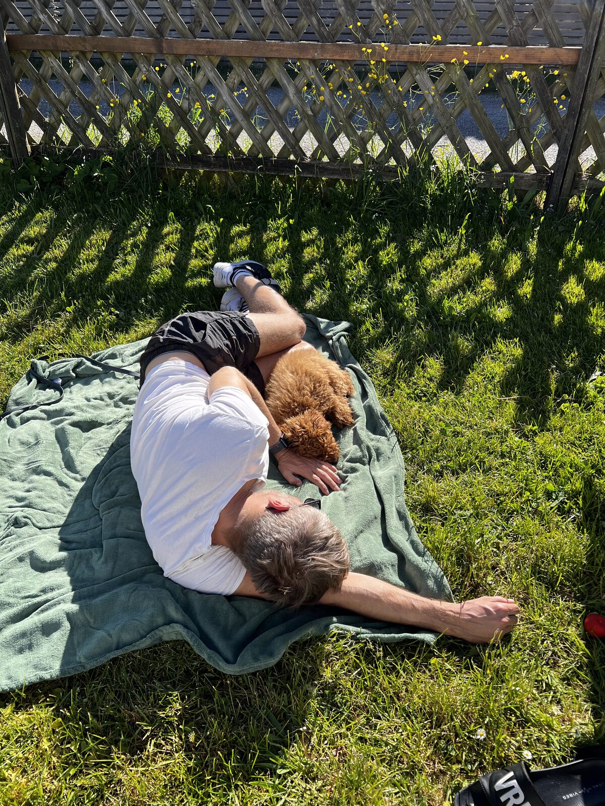 Resting in the hammock